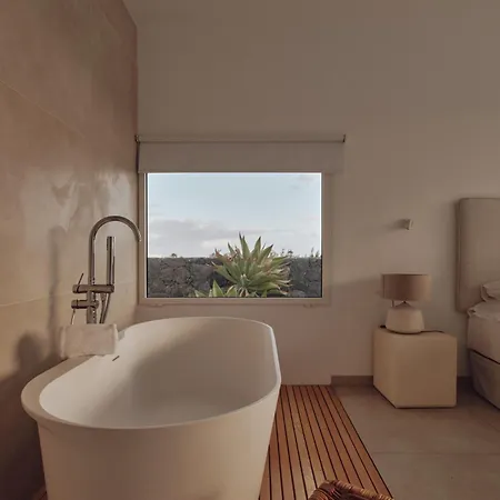 Elements By Alondra * 푸에르토 델 카르멘