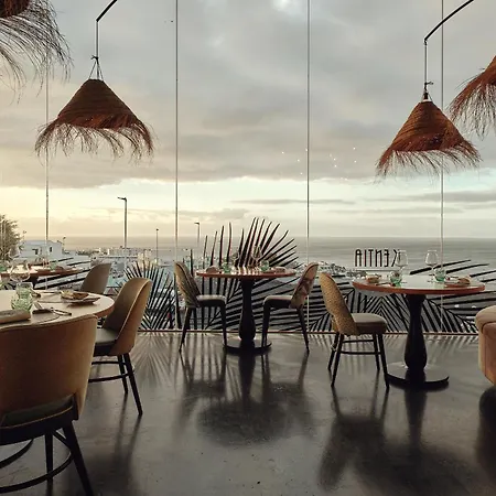 Villa Elements By Alondra *